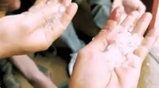 trang-trai-quang-linh-gap-tai-nan