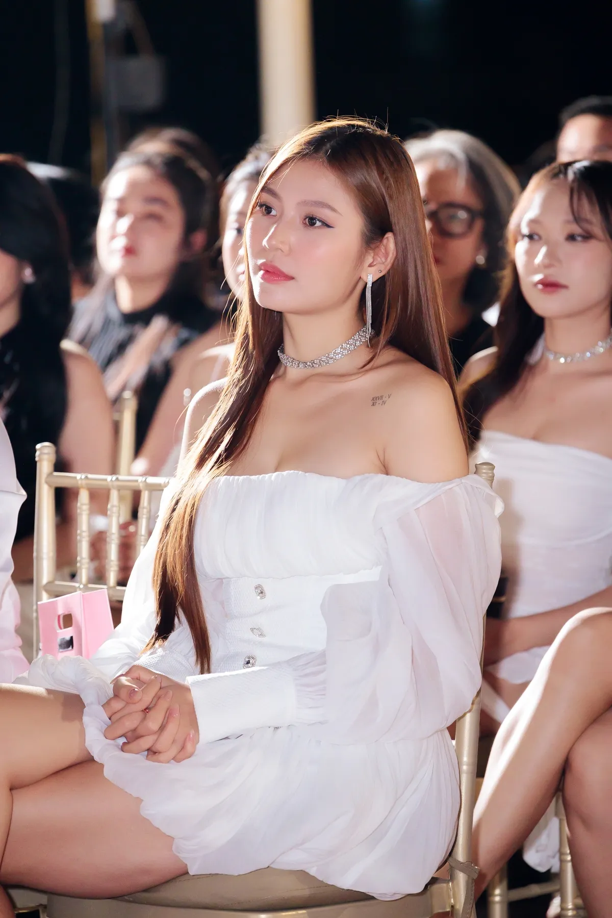 sao-viet-hoi-ngo-su-kien-ho-ngoc-ha (6)