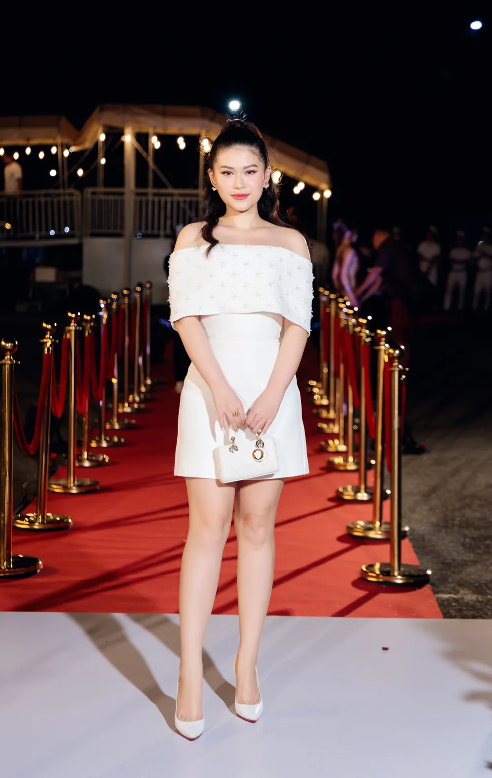 sao-viet-hoi-ngo-su-kien-ho-ngoc-ha (8)