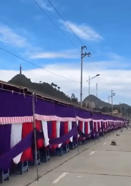 rap-cuoi-dai-ca-cay-so