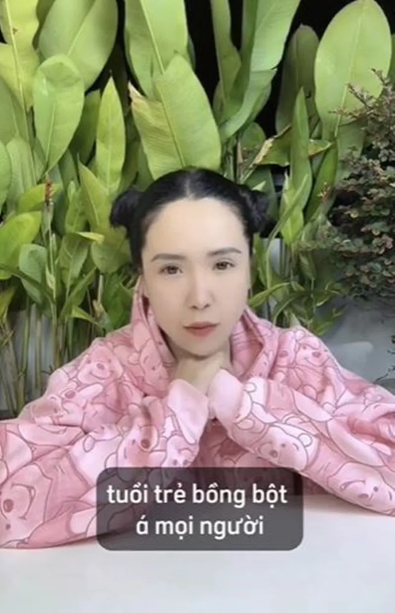 qua-khu-cua-vien-vibi-la-gi-3