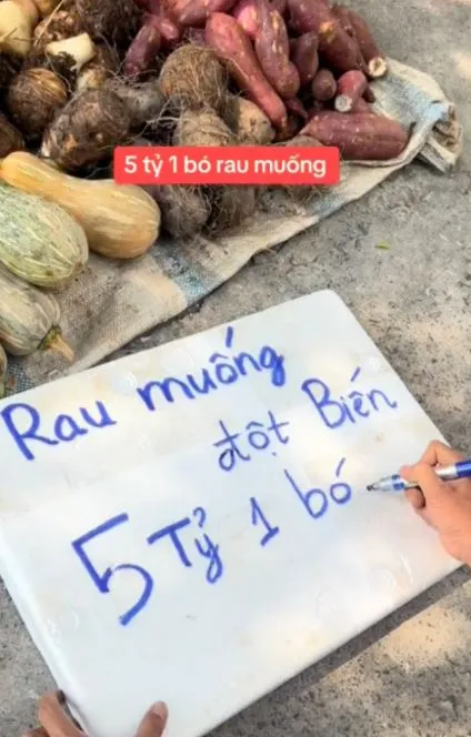 rau-muong-dot-bien-5-ty-mot-bo-1