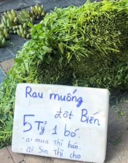 rau-muong-dot-bien-5-ty-mot-bo