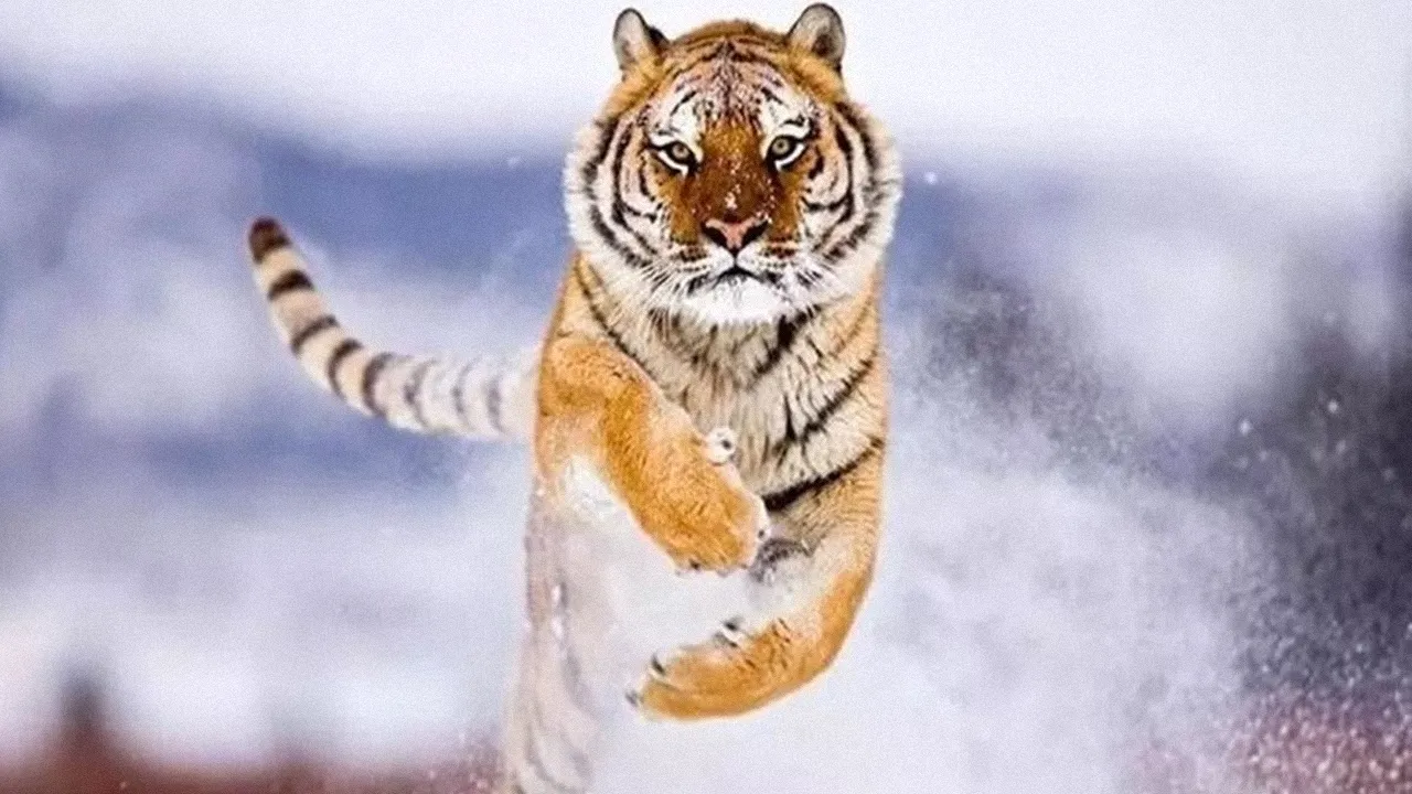 top-3-con-giap-so-do