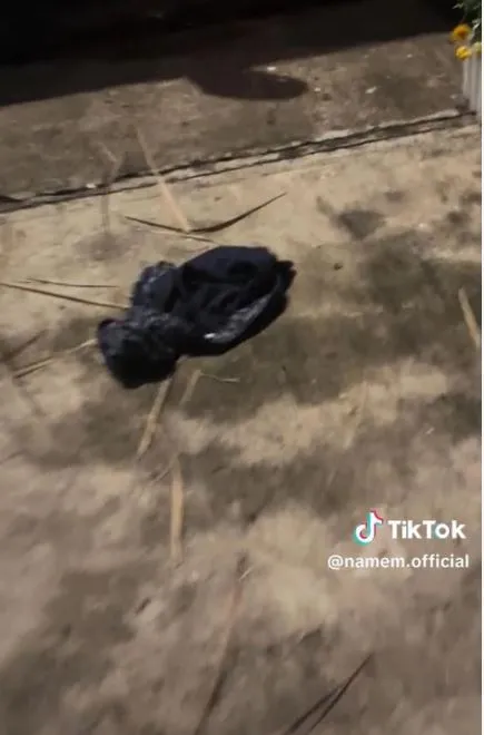 nam-em-khoe-thu-vui-nua-dem-1