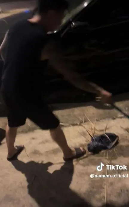 nam-em-khoe-thu-vui-nua-dem