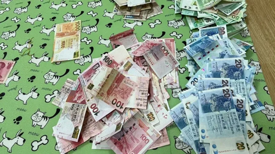 co-gai-duoc-me-tra-toan-bo-tien-li-xi-1