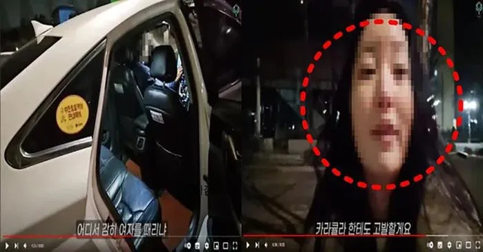 nu-dien-vien-bi-phot-chui-taxi=1