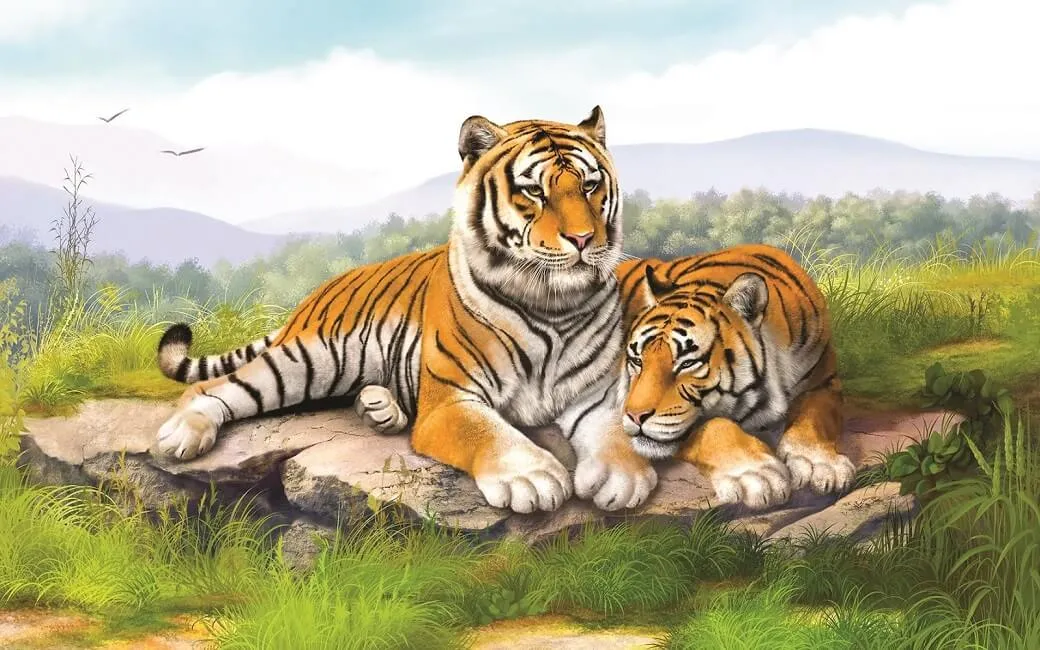 3-tuoi-sap-het-tam-tai-1