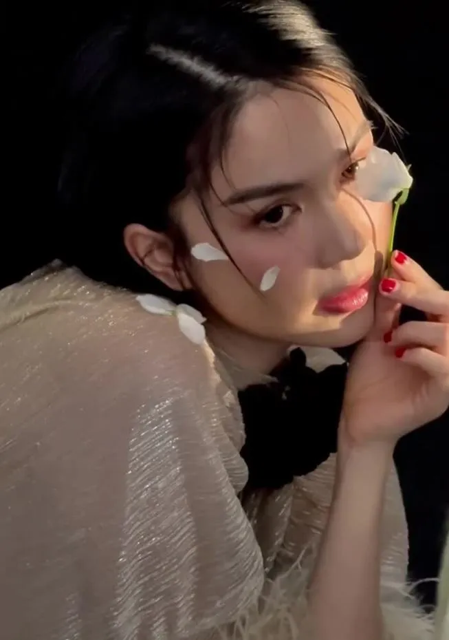 vi-sao-ngoc-trinh-mac-kin-sau-bien-co-4