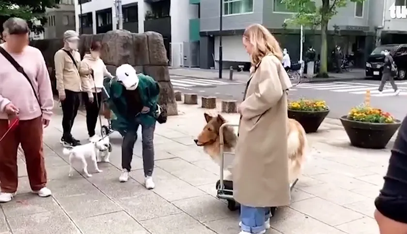 nguoi-dan-ong-chi-tra-15000-USD-de-bien-thanh-cho