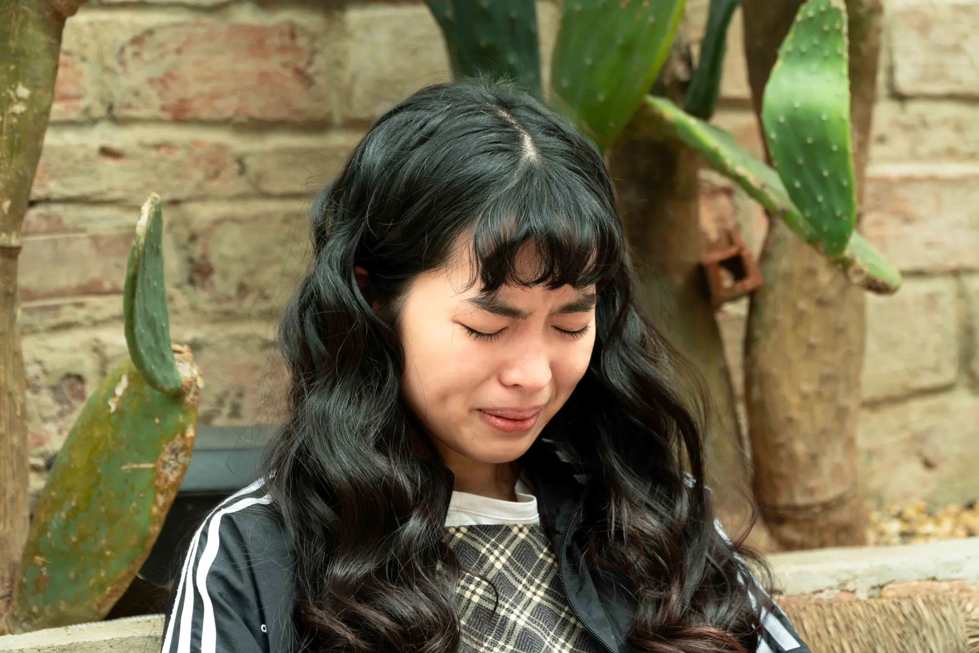 DSC09499-Enhanced-NR