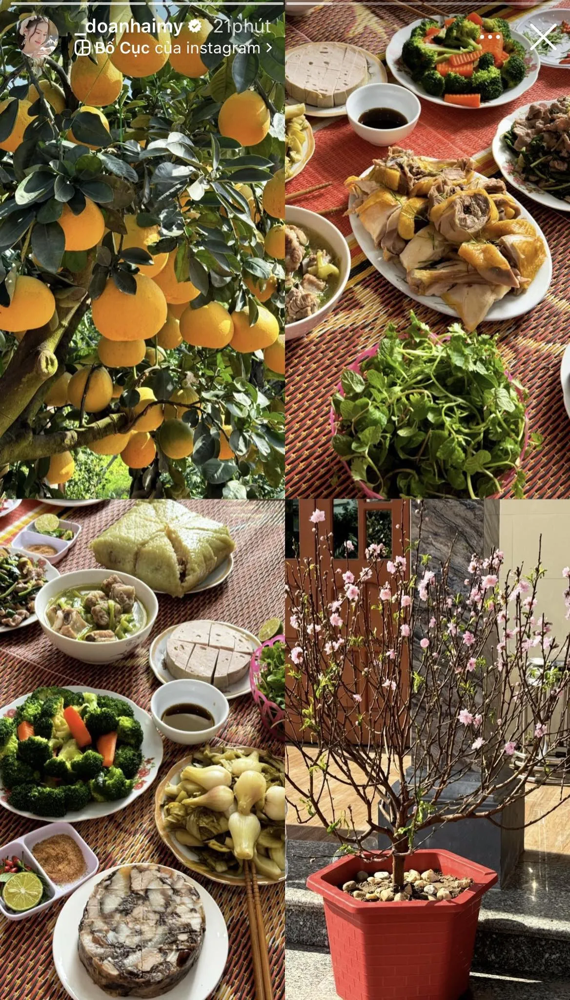 17a2d4a32800825edb11