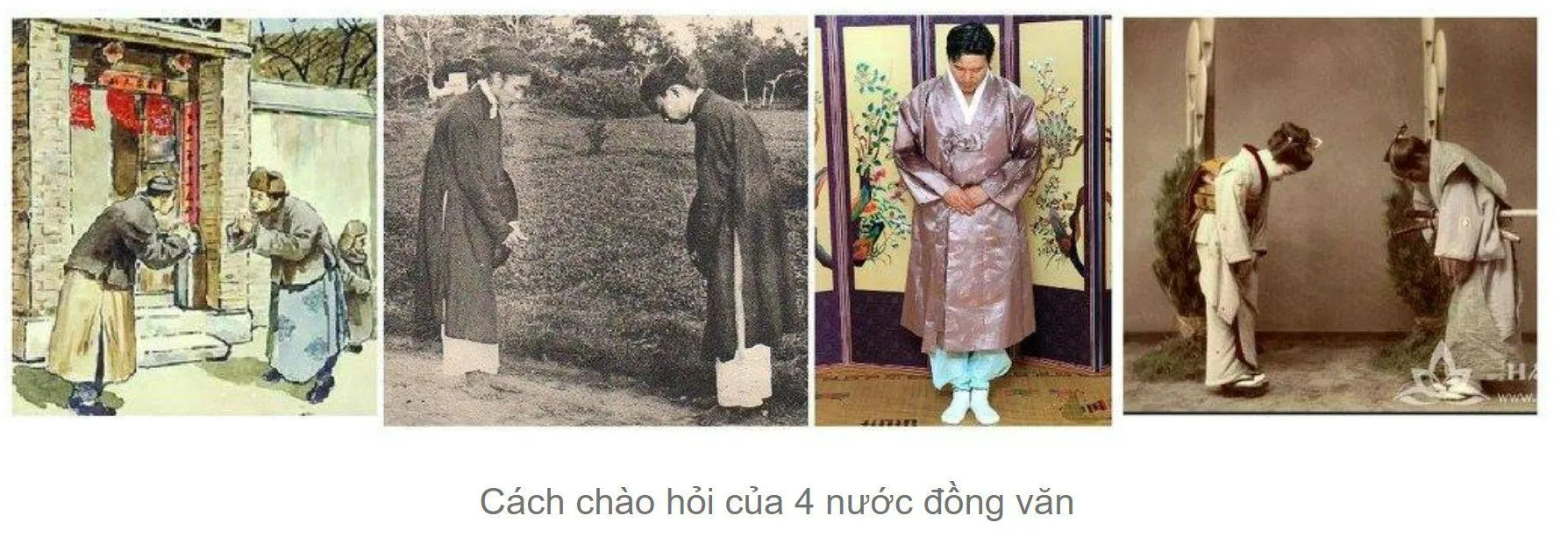 z5164569386595_0ef782c1221ae0c5c252cd7f817c7f1b