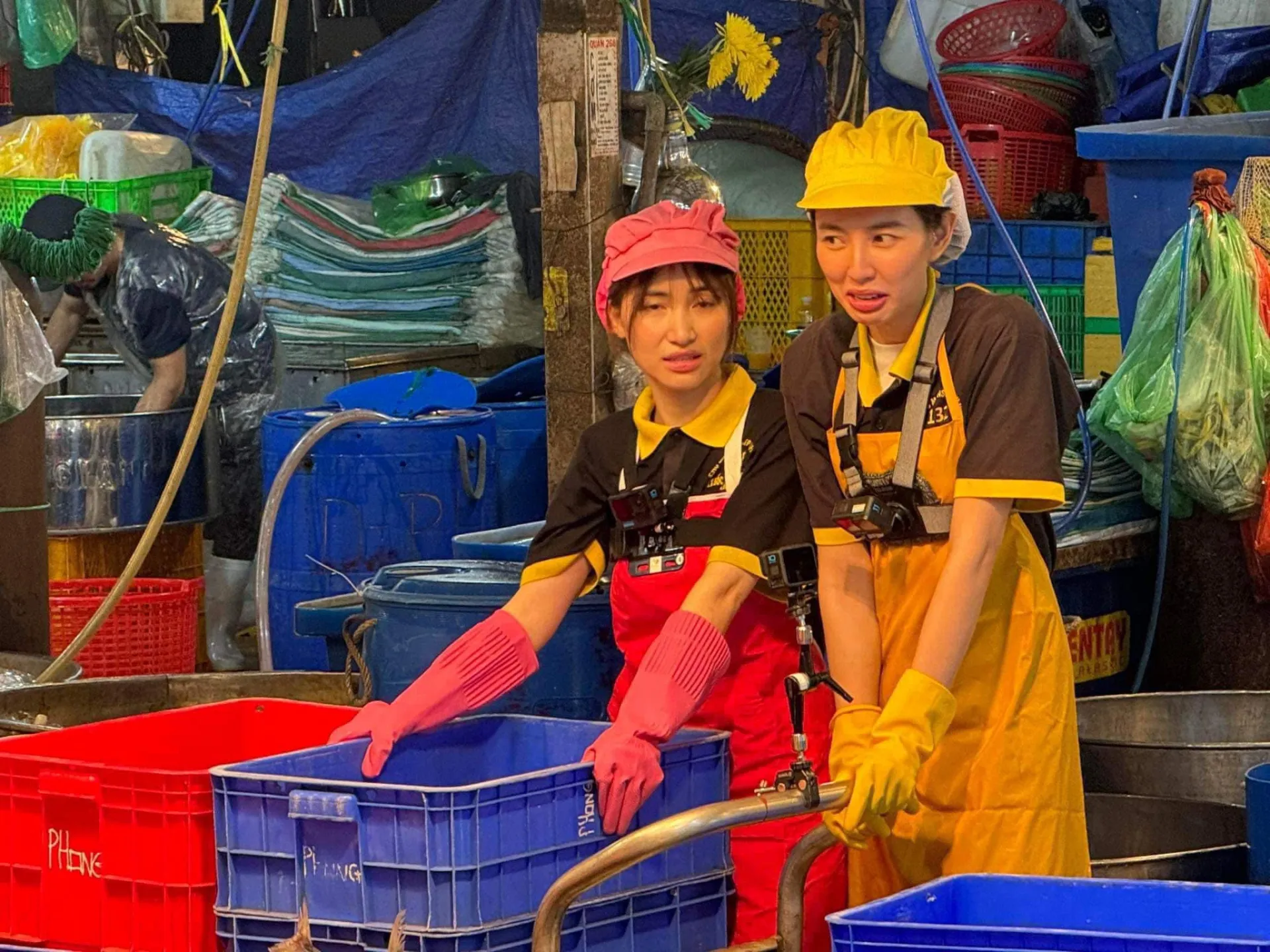 434672467_818418210318876_1646817287172786426_n