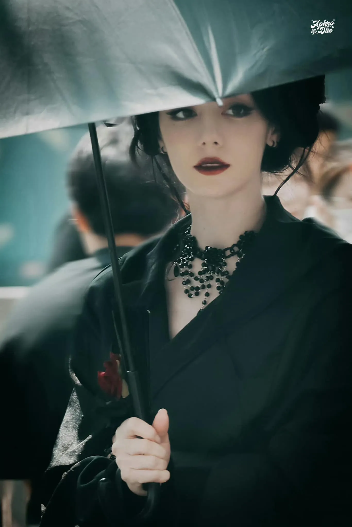 z5420366963693_e8a975b40776412847fd7f2d3e8981a2