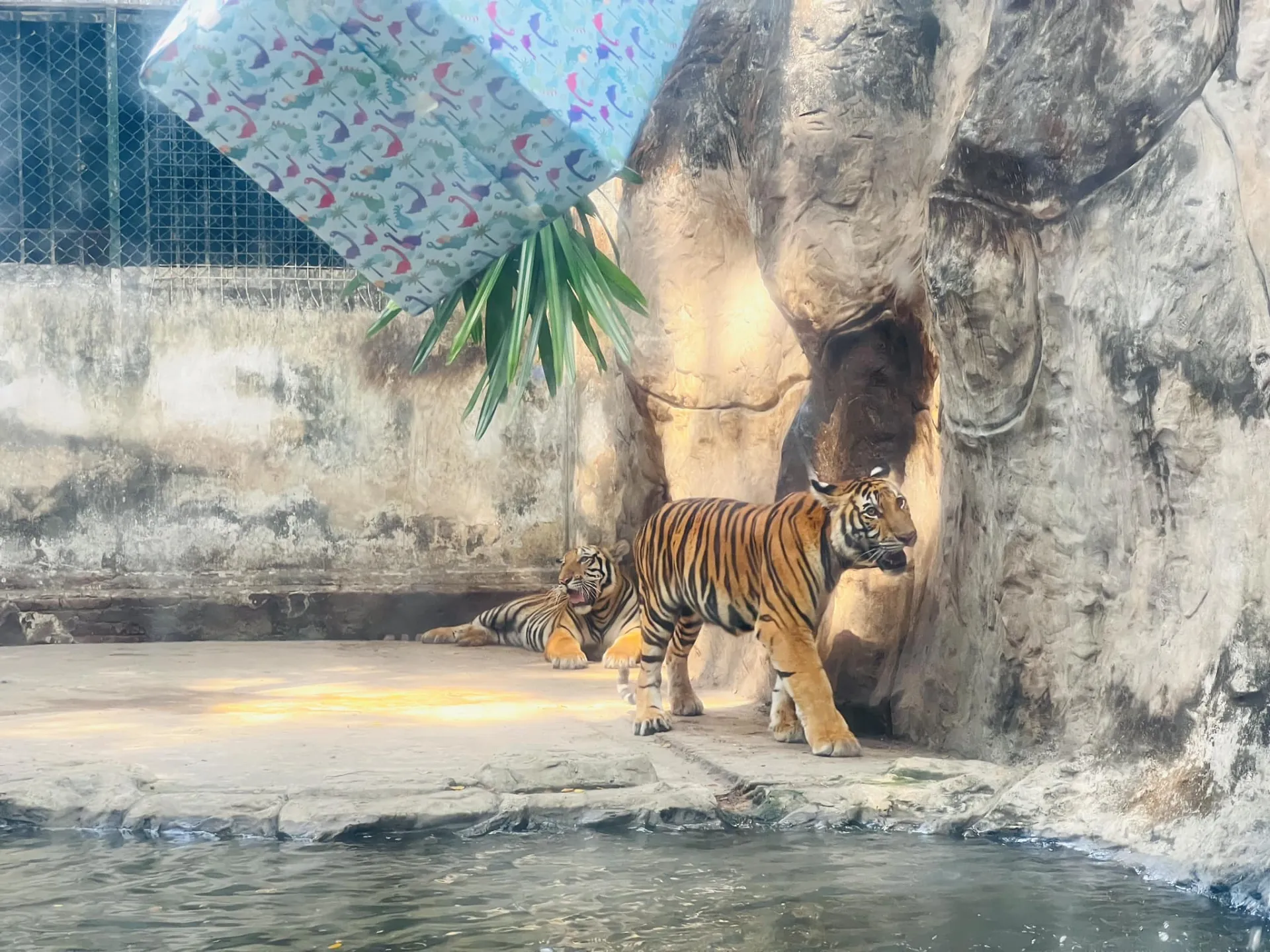 438169502_450215934210620_5087424603237224443_n