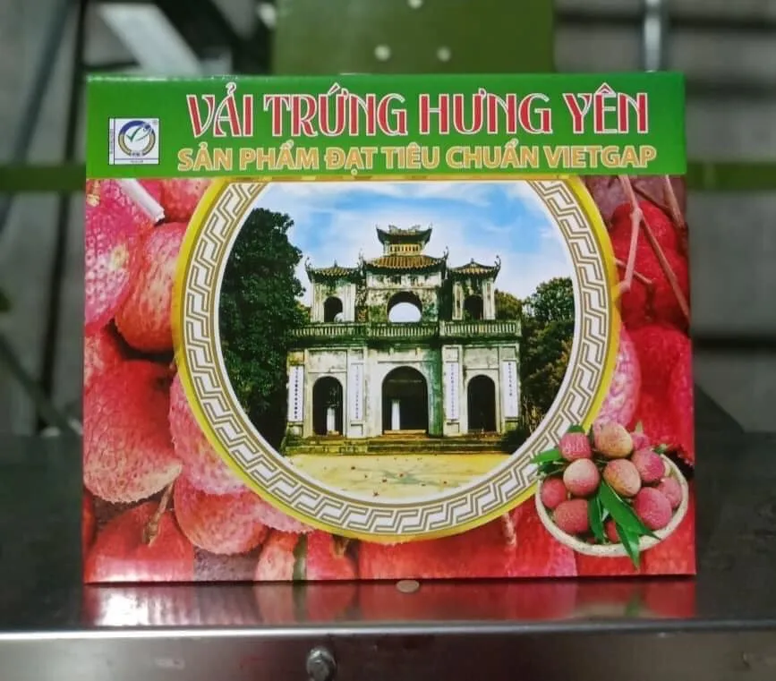 441899225_25499077069736190_5824256211968373287_n