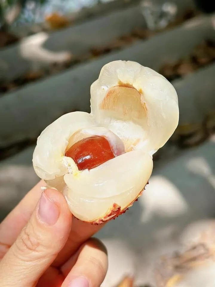 444480326_25499077103069520_929035160443151076_n