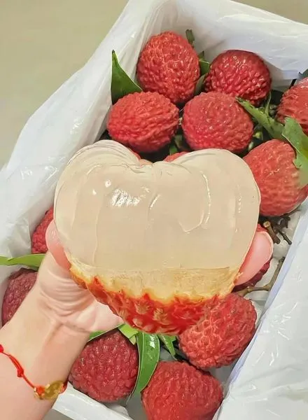 444487807_7684893268291197_8030702475035318019_n