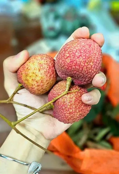 445414147_8121361947883709_7834935494880326815_n