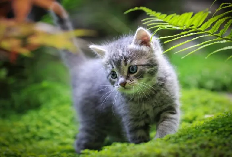 90_5cf820144d157aac74e12512ff8d2905