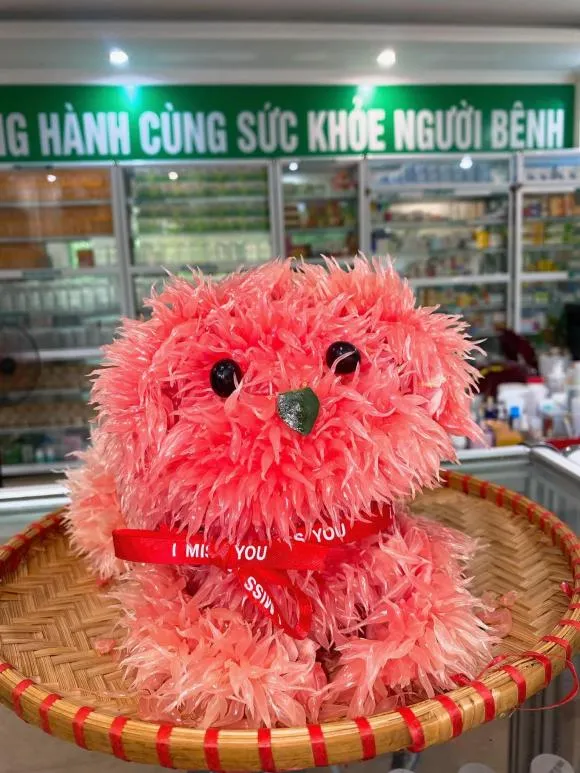 383834814_3213182678825138_4572754684132224110_n-ngoisaovn-w1536-h2048