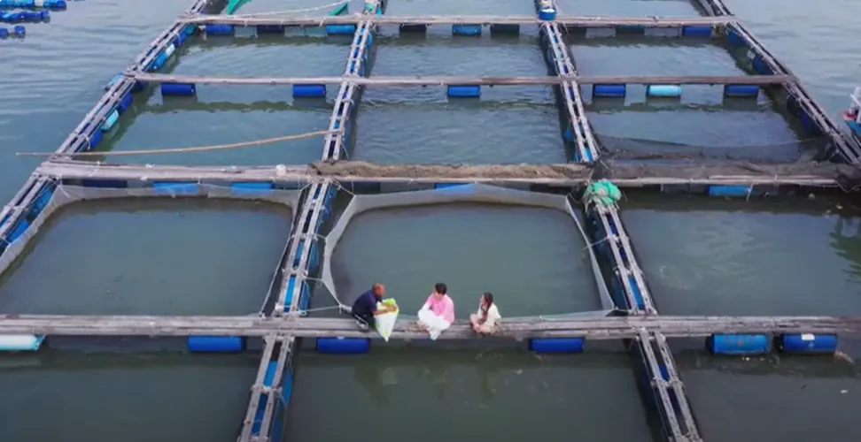 MC Hồng Phúc đưa diễn viên Như Quỳnh khám phá nghề nuôi trồng thủy hải sản tại làng bè Long Sơn - ảnh 5