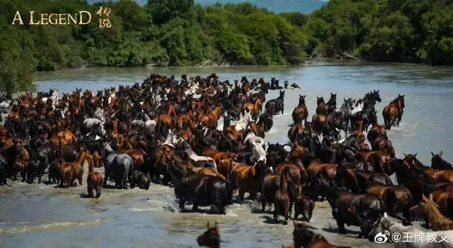 z5530546583919_49ea36c62084f3d42508cae9571360d9