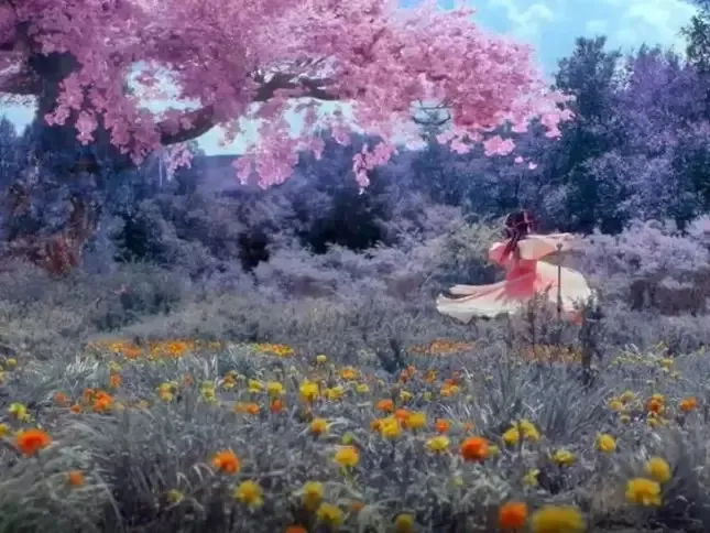 z5530546627445_fb9da69e8215dc365c8b99df3208d8e0