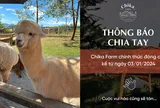 Vì sao Chika Farm ở Đà Lạt đóng cửa dù rất đông khách tham quan?