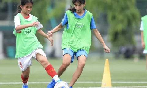 Liên đoàn bóng đá Việt Nam làm điều đặc biệt hướng đến tương lai