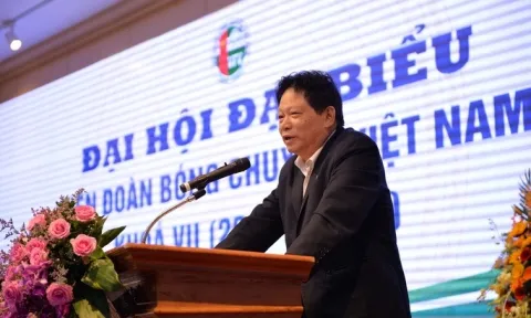 Ông bầu Hữu Huyền: "Trọng tài bóng chuyền nước nhà có vấn đề"