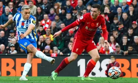 Nhận định, dự đoán Liverpool vs Brighton, 21h00 ngày 1/10