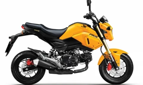 Honda MSX 125 2020 “thay áo” mới, giá 49,99 triệu đồng