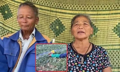 Vợ chồng ông bà bị phá ruộng dưa xin tha cho nhóm 'trẻ trâu' để 'các cháu được sửa sai'