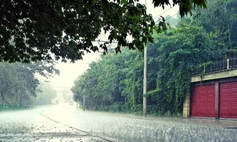 Dự báo thời tiết 10 ngày tới trên cả nước từ ngày 1-11/8: Mưa rào và dông vài nơi