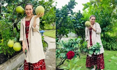 Mỹ Tâm lộ bụng lùm xùm như mang bầu trong loạt ảnh mới