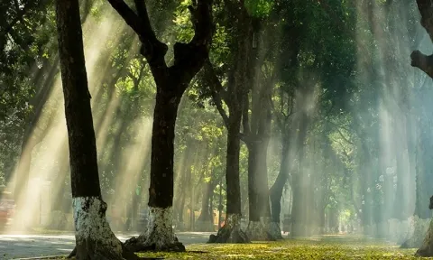 Dự báo thời tiết 10 ngày tới trên cả nước thời hạn từ ngày 30/8-9/9: Bắc và Trung Bộ mưa rào và dông