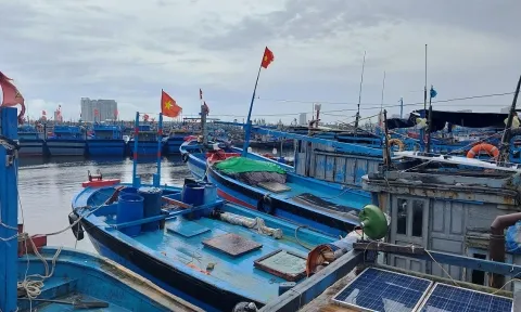 Đà Nẵng chính thức cấm người ra đường từ 20h00 tối nay 27/9 để tránh bão