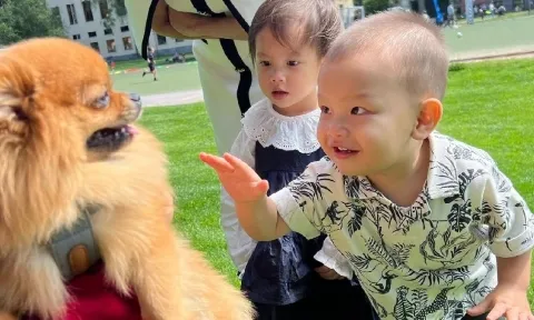 Học hỏi cách dạy con độc đáo nhà Hồ Ngọc Hà và Kim Lý, ai cũng nể