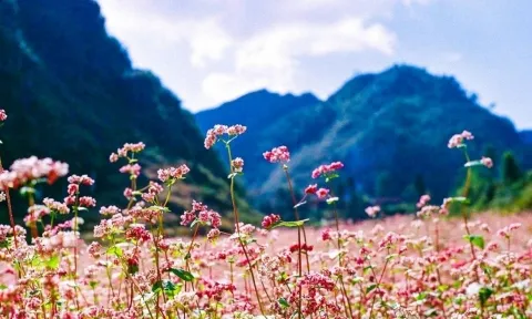 Dự báo thời tiết 10 ngày tới trên cả nước thời hạn từ 6-16/10: Chiều tối và đêm có mưa rào