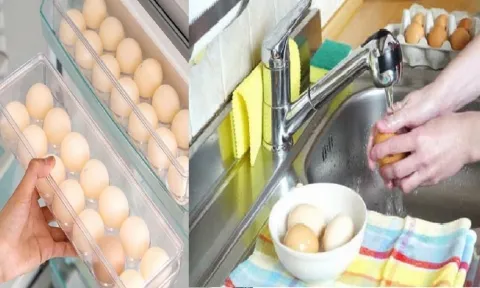 5 sai lầm khi bảo quản trứng gây hại, điều thứ 2 rất nhiều người mắc phải