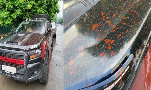 Quy định về mức phạt đối với trường hợp tạt sơn, đập kính ô tô đỗ chắn cửa nhà