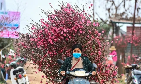 Dự kiến trình phương án nghỉ Tết 7 ngày lên Chính phủ