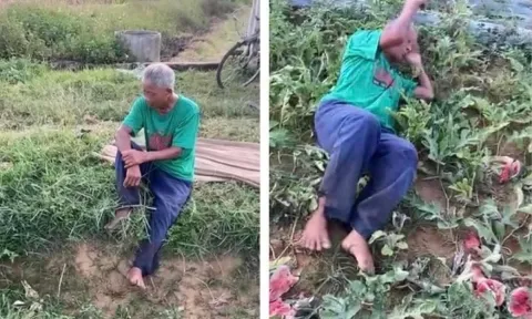 Cụ ông nằm khóc giữa ruộng dưa bị phá nát ở Nghệ An: Đã xác định được 5 đối tượng