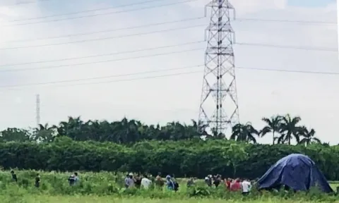 Hà Nội: Đang gặt lúa, 2 người phụ nữ bị sét đánh tử vong