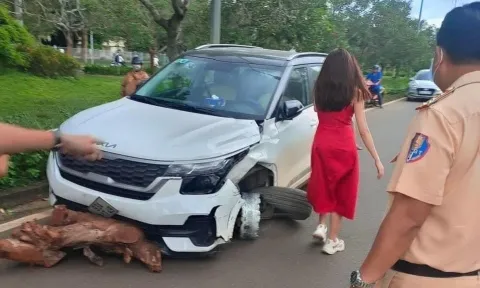 Nữ tài xế 'ma men' lái xe nổ bánh, bỏ chạy ở Bình Phước bị xử phạt số tiền lớn