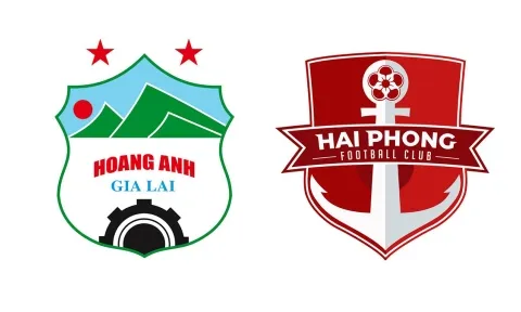 Trực tiếp HAGL vs Hải Phòng, link xem trực tiếp HAGL vs Hải Phòng: 17h00 19/08/2022