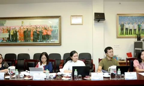VFF công bố danh sách CLB được dự V-League 2023, 2 đội chưa đủ điều kiện              